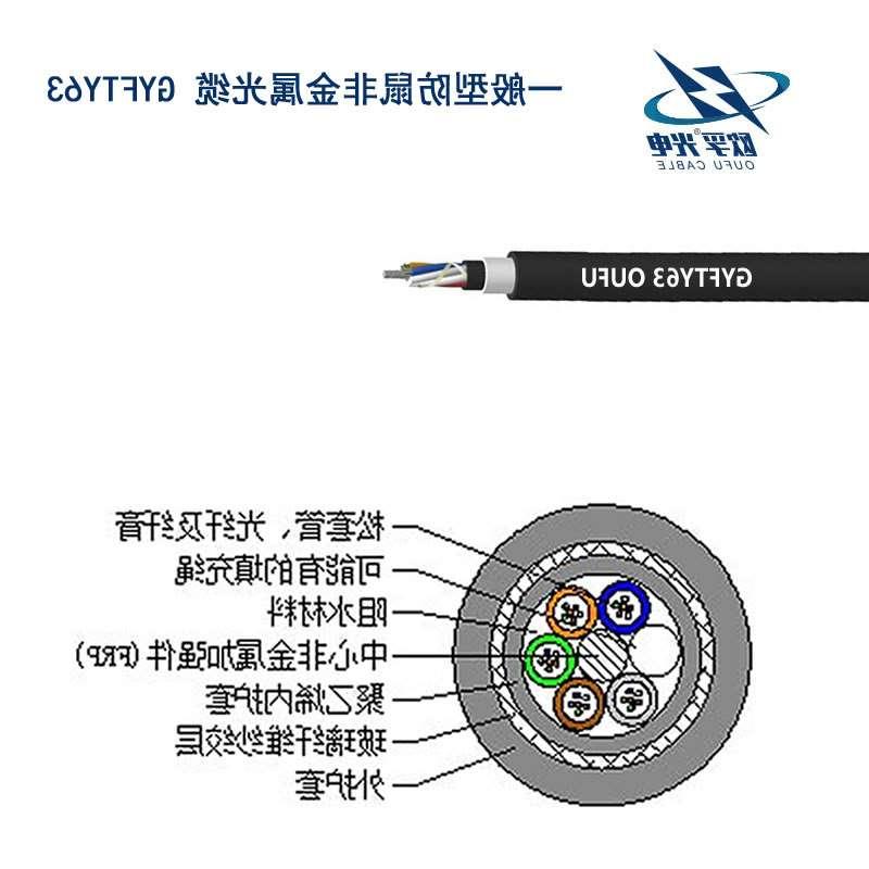 GYFTY63 防鼠咬光缆